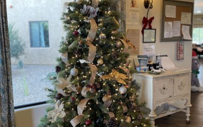 How to Bring Holiday Cheer to Seniors in Assisted Living